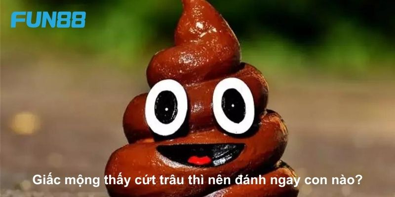 Mơ Thấy Cứt Đánh Con Gì May Mắn Để Trăm Trận Trăm Thắng - Trang Chính Thức Fun88.com 2026