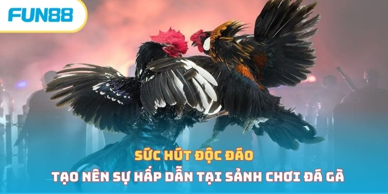 Đá Gà Cựa Dao - Loại Hình Cá Cược Hấp Dẫn Vạn Người Mê 