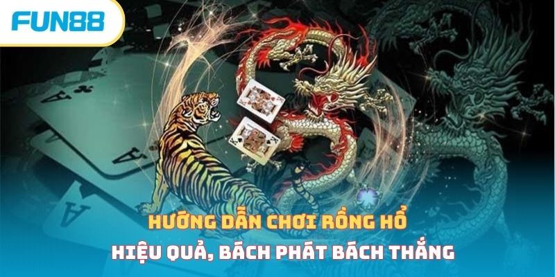 Hướng dẫn chơi rồng hổ hiệu quả, bách phát bách thắng