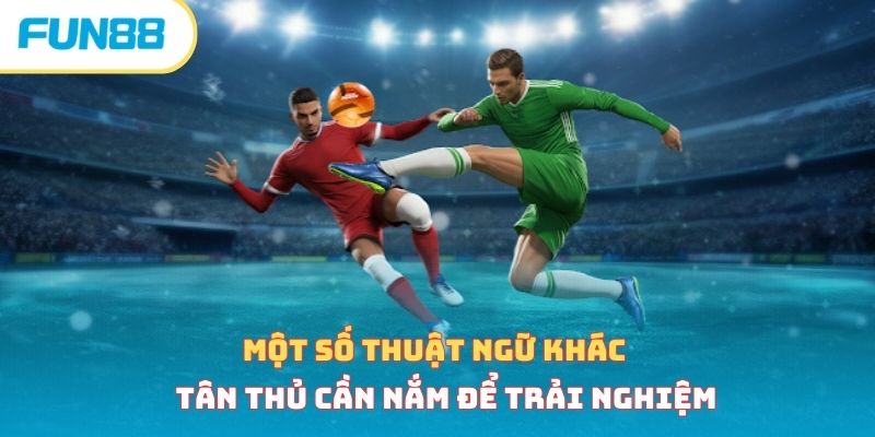 Tổng Hợp Thuật Ngữ Cá Độ Bóng Đá Phổ Biến Tân Thủ Cần Biết