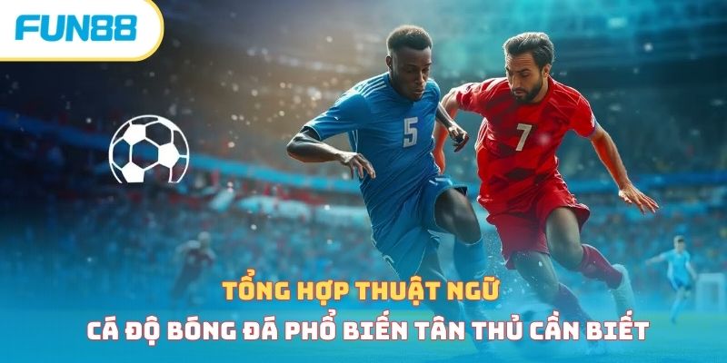 Tổng Hợp Thuật Ngữ Cá Độ Bóng Đá Phổ Biến Tân Thủ Cần Biết