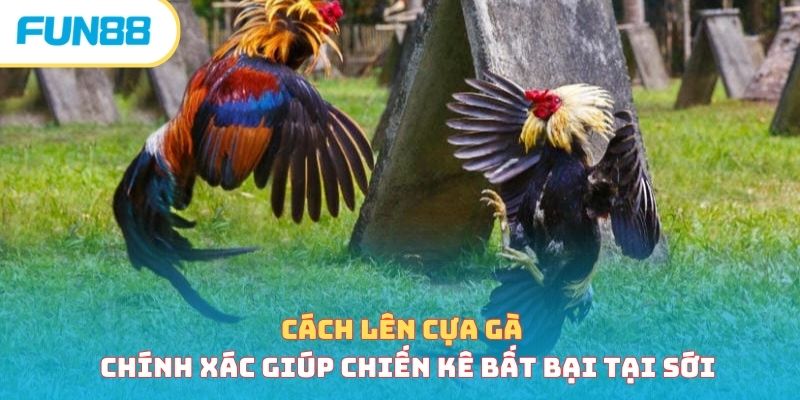 Đá gà - Trang Chính Thức Fun88.com 2026
