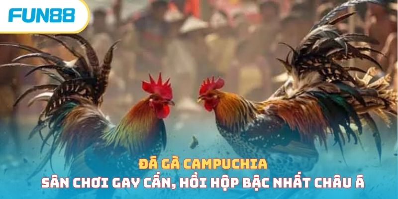 Đá gà - Trang Chính Thức Fun88.com 2026