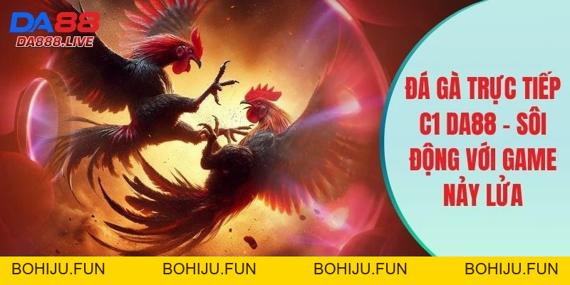 Đá Gà DA88 - Sân Cược Chọi Kê Hấp Dẫn Và Đầy Sự Hiện Đại