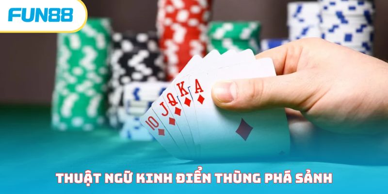 Thùng Phá Sảnh Là Gì? Tại Sao Ai Cũng Muốn Sở Hữu?