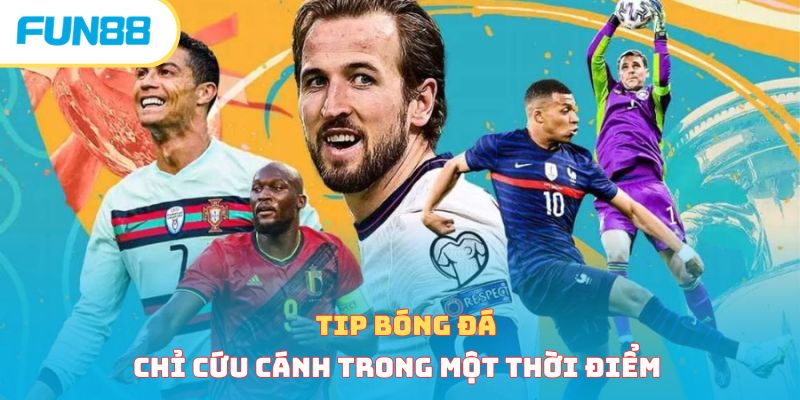 Tip Bóng Đá Là Gì? Nên Hay Không Mua Tip Môn Thể Thao Vua?